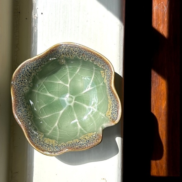 NEW Windowsill SUCCULENT 4" Anthropologie - Picture 11 of 13
